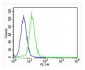 JMJD2C Antibody (C-term)